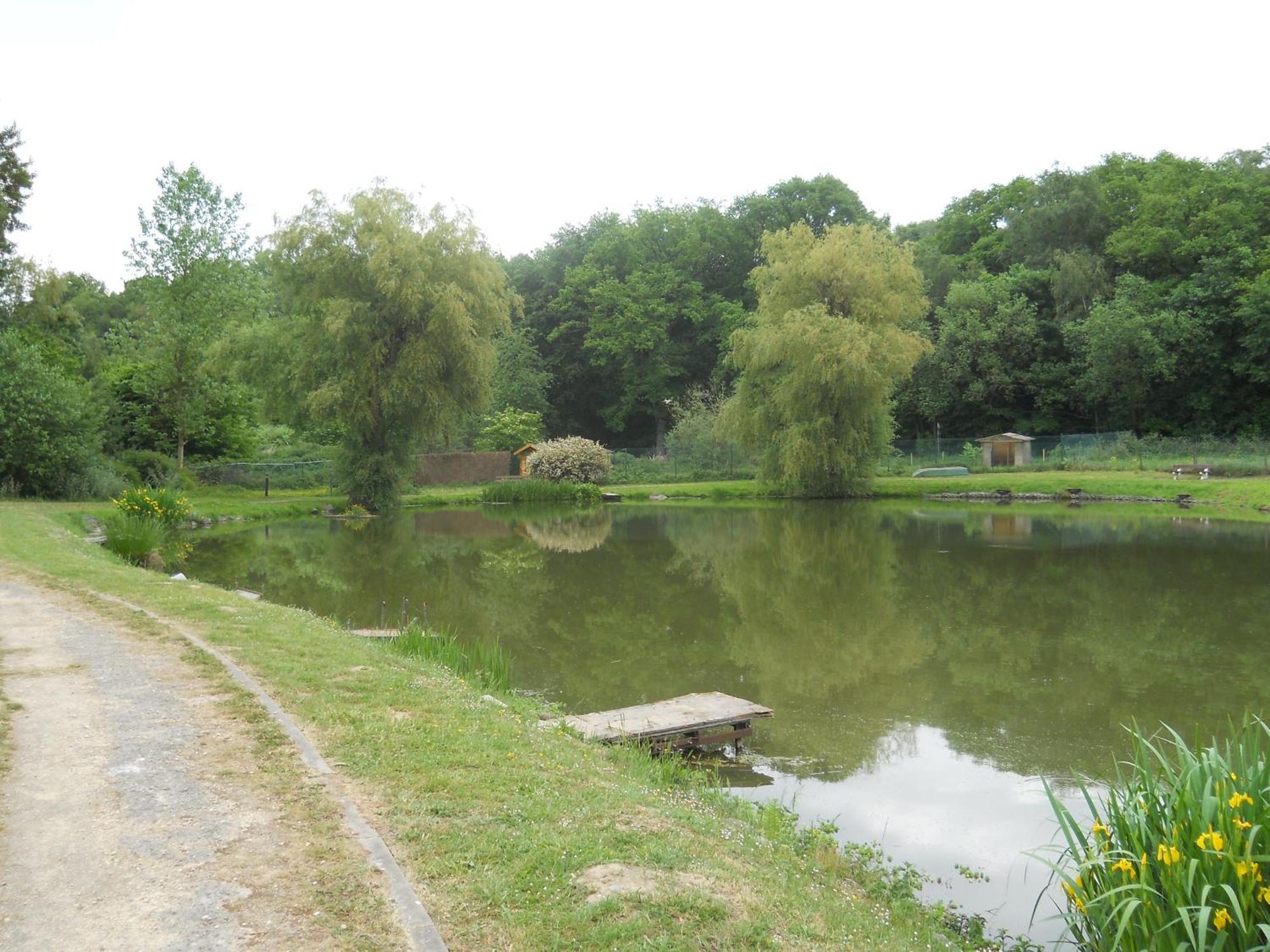 Le Relais De La Haute Sambre Lobbes Екстериор снимка